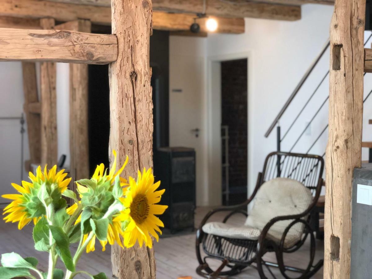 Ferienhaus Paradiso Kirchheim unter Teck Extérieur photo